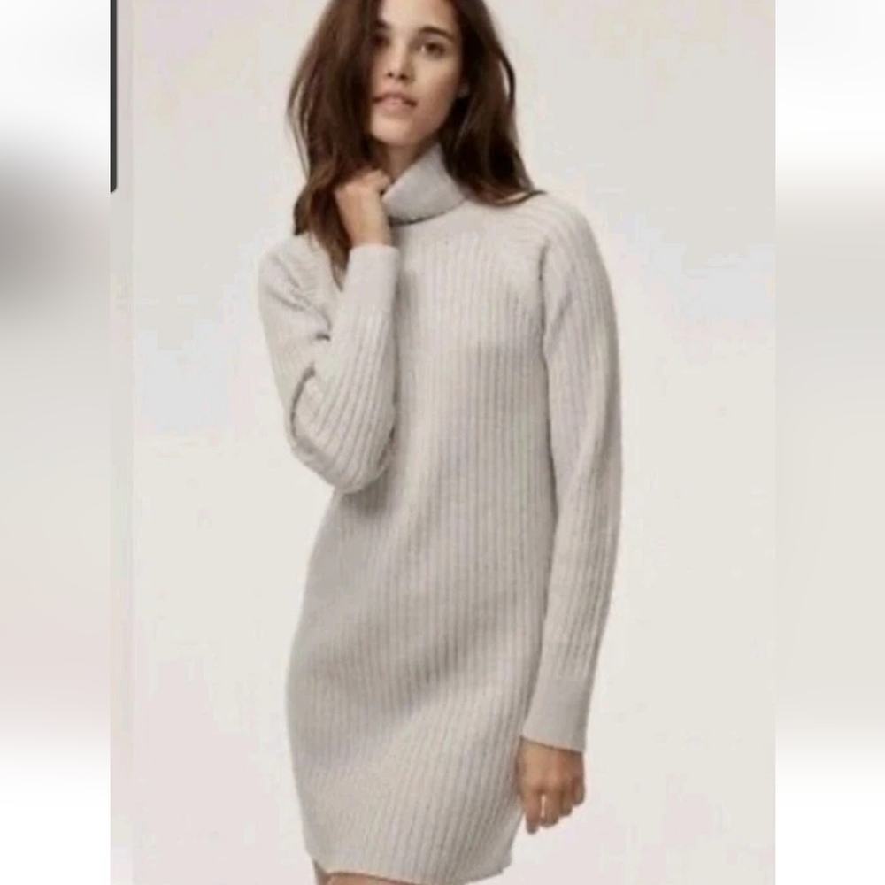 Wilfred Aritzia Sz XS Grey Turtleneck Sweater Dress Chunky Knit 100% Merino Wool